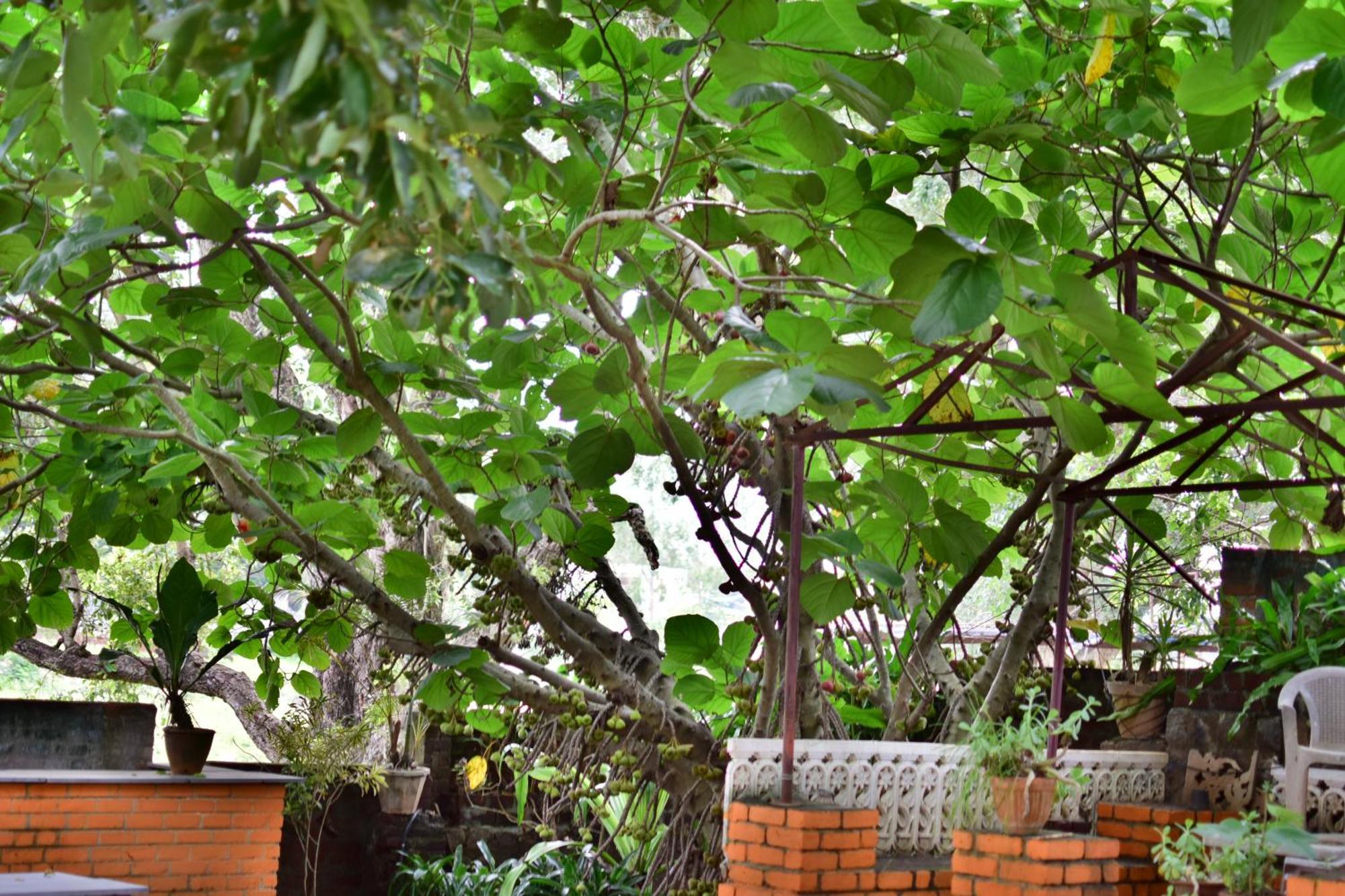 Silent Waters Resorts Yelagiri Exterior foto