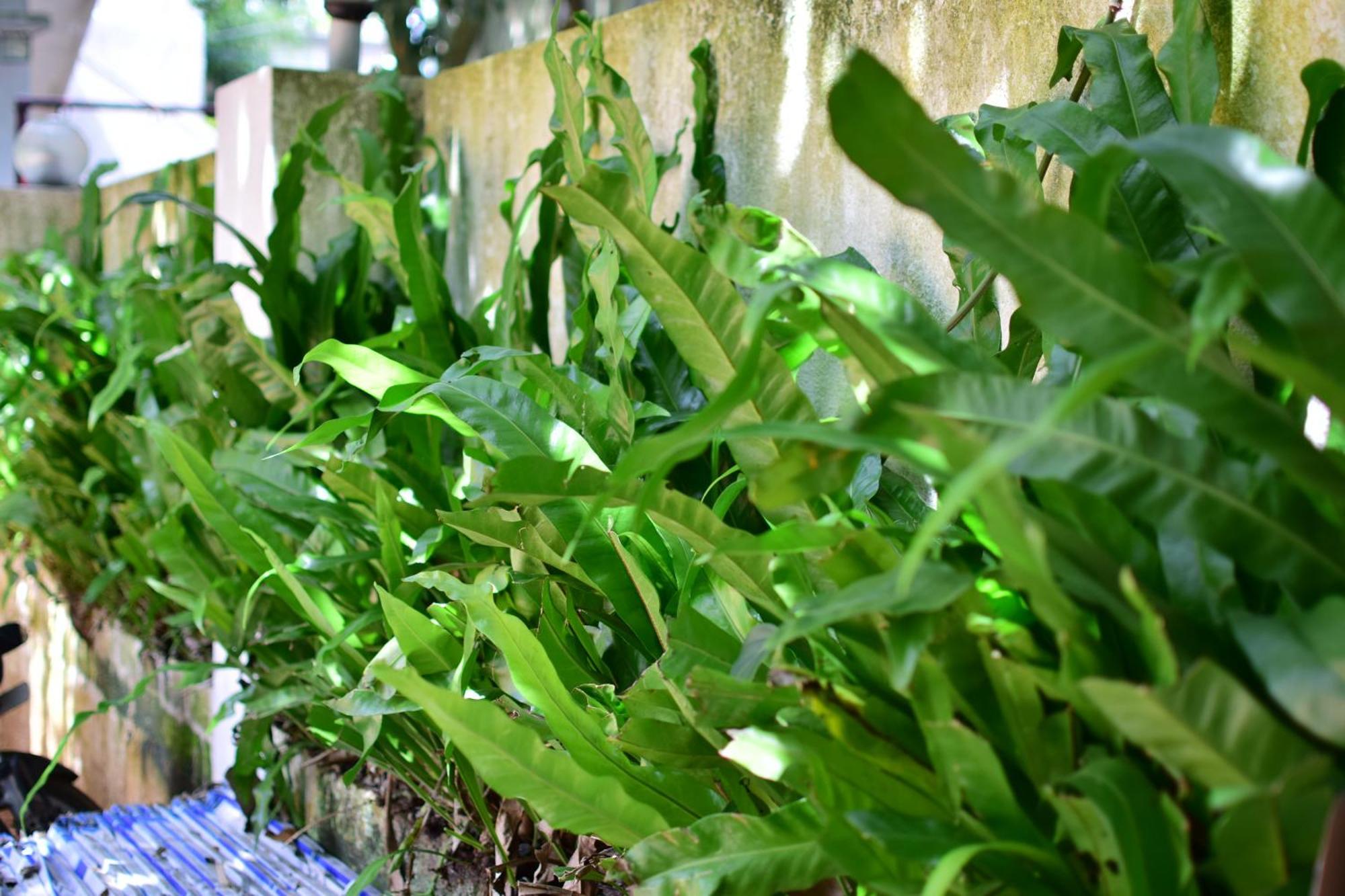 Silent Waters Resorts Yelagiri Exterior foto